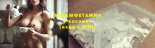 PSILOCYBIN Вяземский
