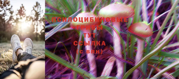 спиды Володарск