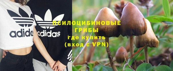 гидра Волосово